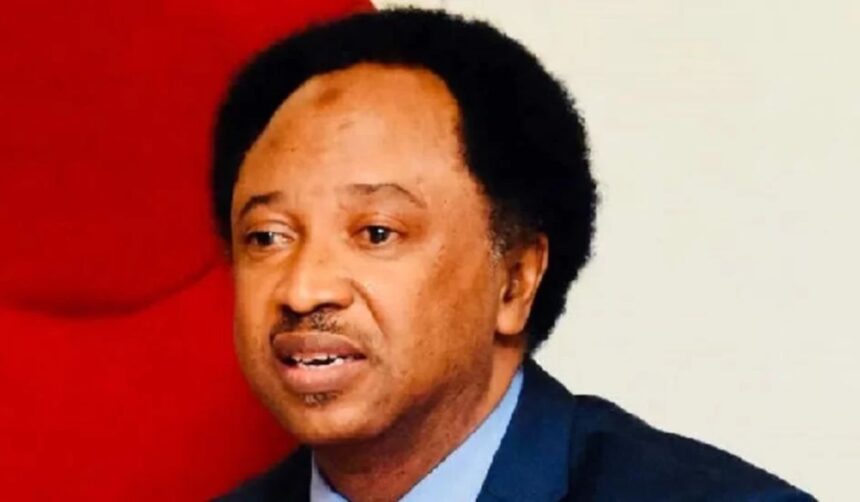 Leave Social Media, Get Involved in Politics! - Shehu Sani Charges Nigerian Youths