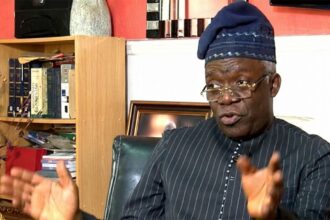 Establishment of State Police Will Not Reduce Insecurity in Nigeria - Femi Falana