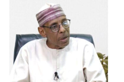 Hakeem Baba-Ahmed Faults the Timing of the Establishment of State Police
