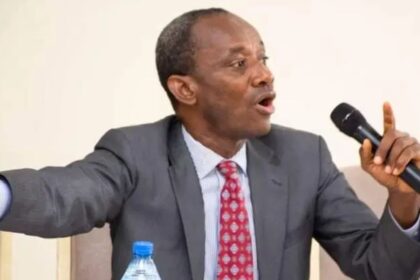 Sam Amadi Warns Nigeria's Judiciary Facing Political Capture